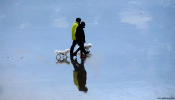 Beach walkers reflection.jpg